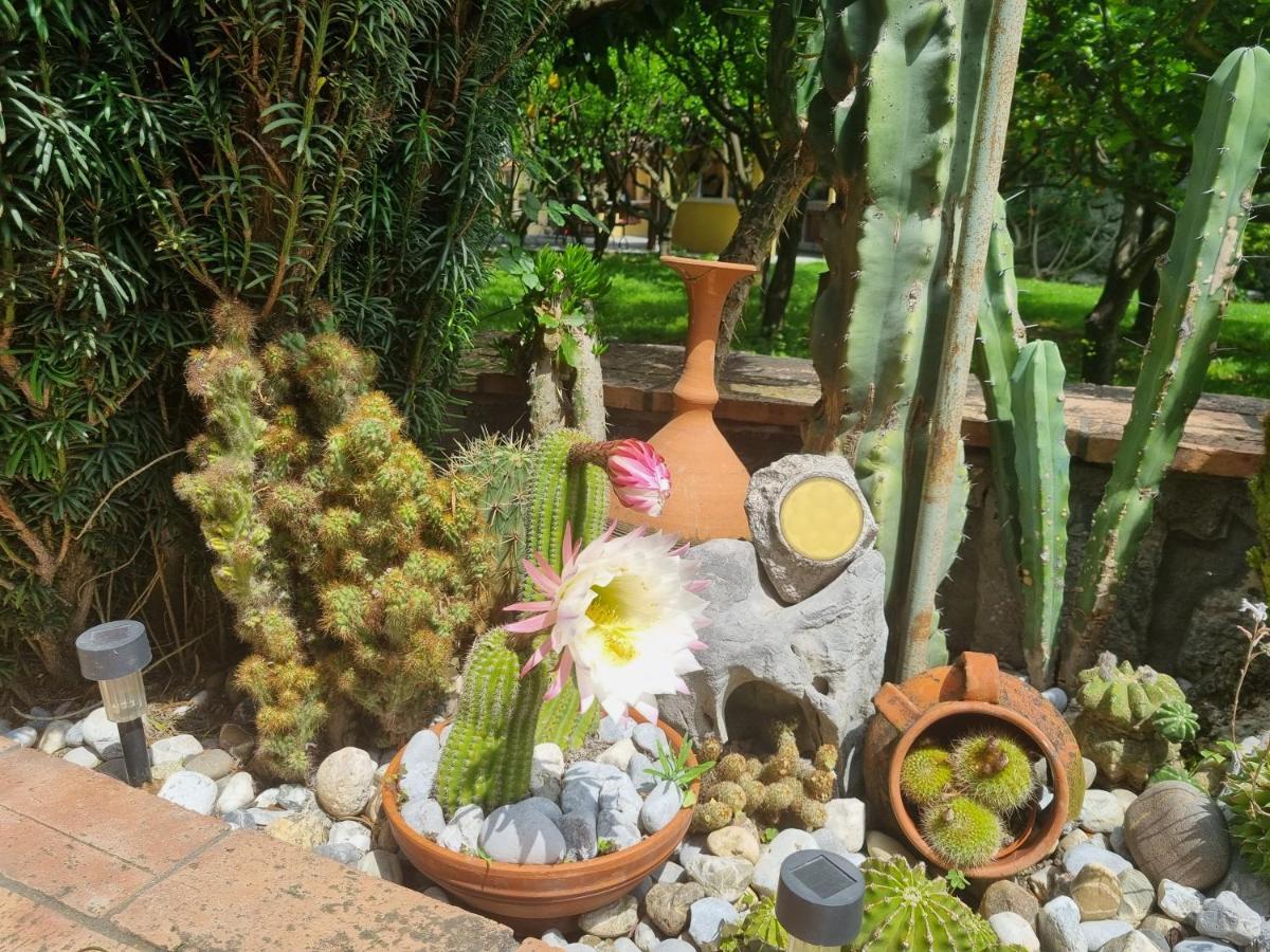 Bed and Breakfast Il Ruscello Maratea Exterior foto