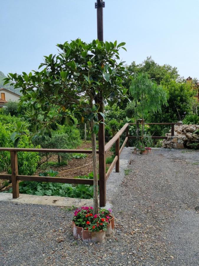 Bed and Breakfast Il Ruscello Maratea Exterior foto