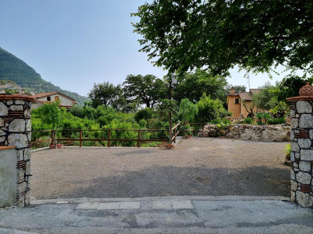 Bed and Breakfast Il Ruscello Maratea Exterior foto